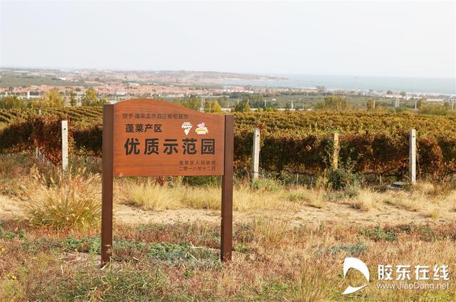 醇香烟台·微醺世界｜烟台葡萄酒产区媒体采风团走进龙亭酒庄 感受中国精品葡萄酒庄的独特魅力KAIYUN(图7)