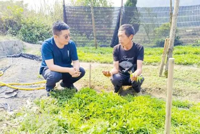 不惧关山万重扎根壮乡苗岭——文山马关篇(图6)