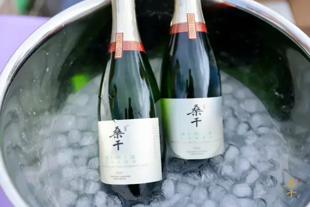 守天地拙·凝时光韵长城桑干酒庄采收节(图2)